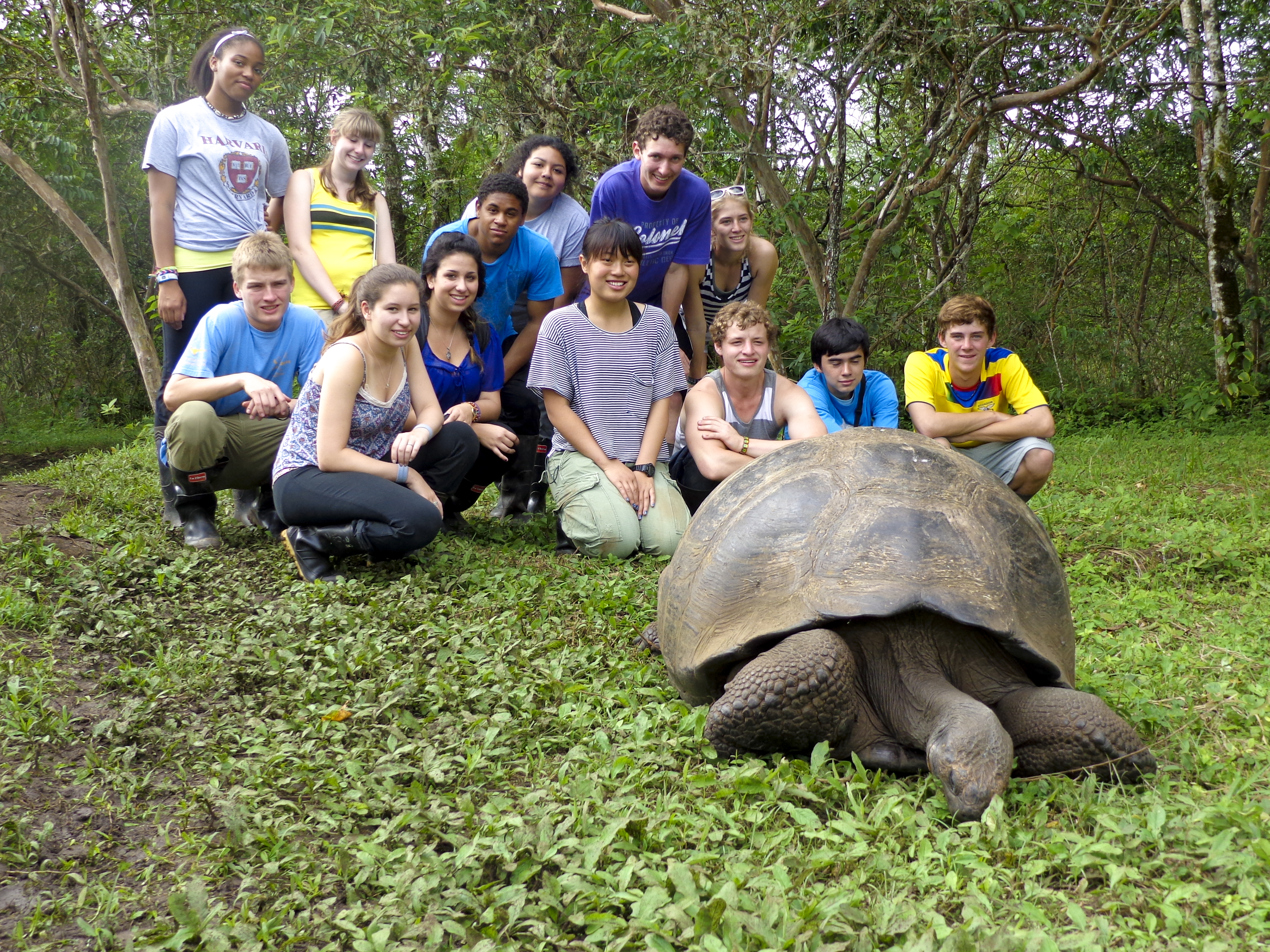 Travel to Ecuador to see natural wonders from the Andes mountains to the Amazon basin and the Galápagos Islands. Visit the Charles Darwin Research Station to learn about conservation efforts and receive a community service certificate upon program completion. Students with tortoise