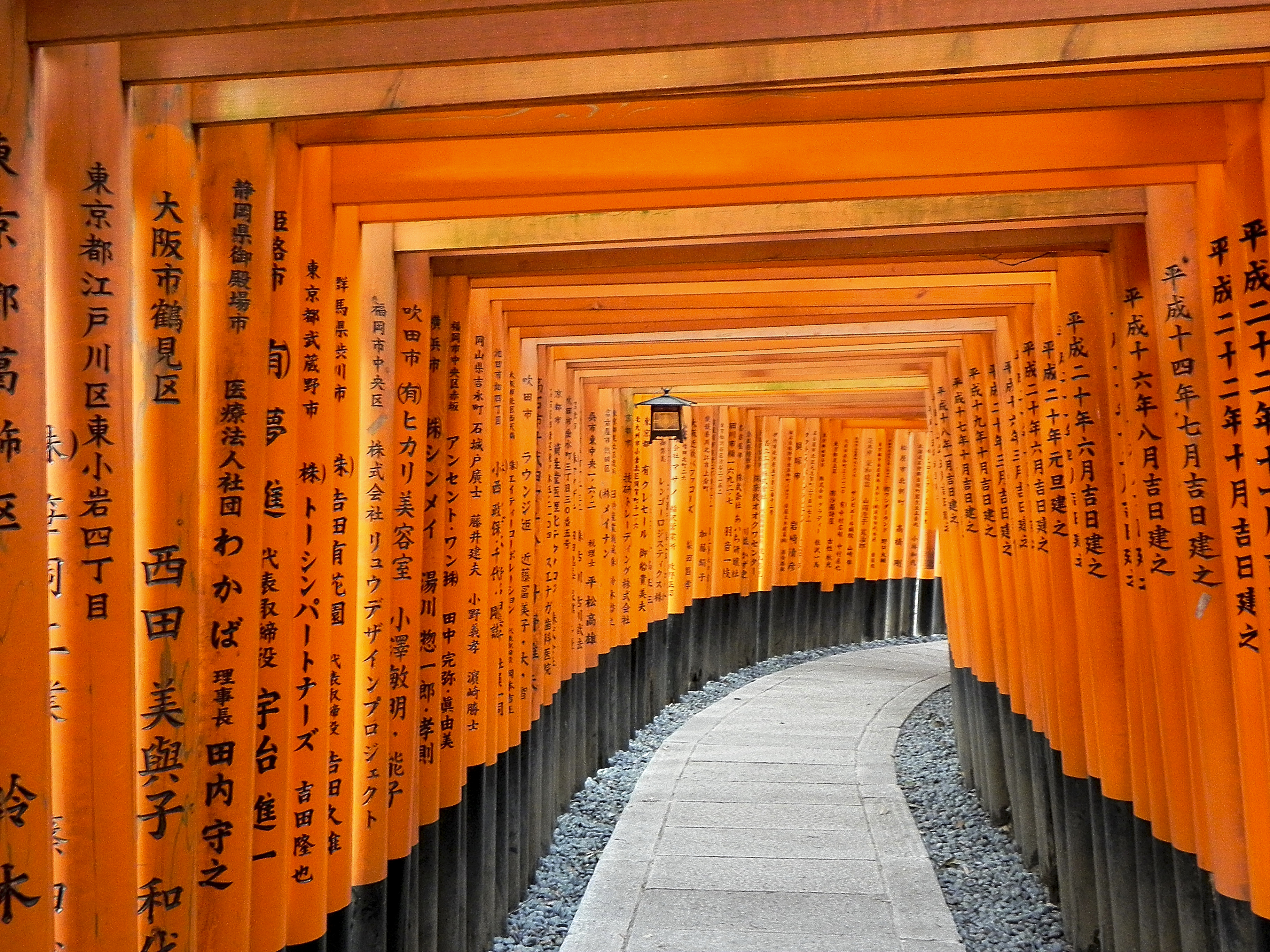 Learn about Japanese language and culture when you study abroad in Japan with The Experiment. Develop your skills through Japanese language immersion, exploring vibrant Tokyo neighborhoods, and living with a Japanese homestay family.  Torii Gates at Fushimi Inari Shrine in Kyoto, Japan