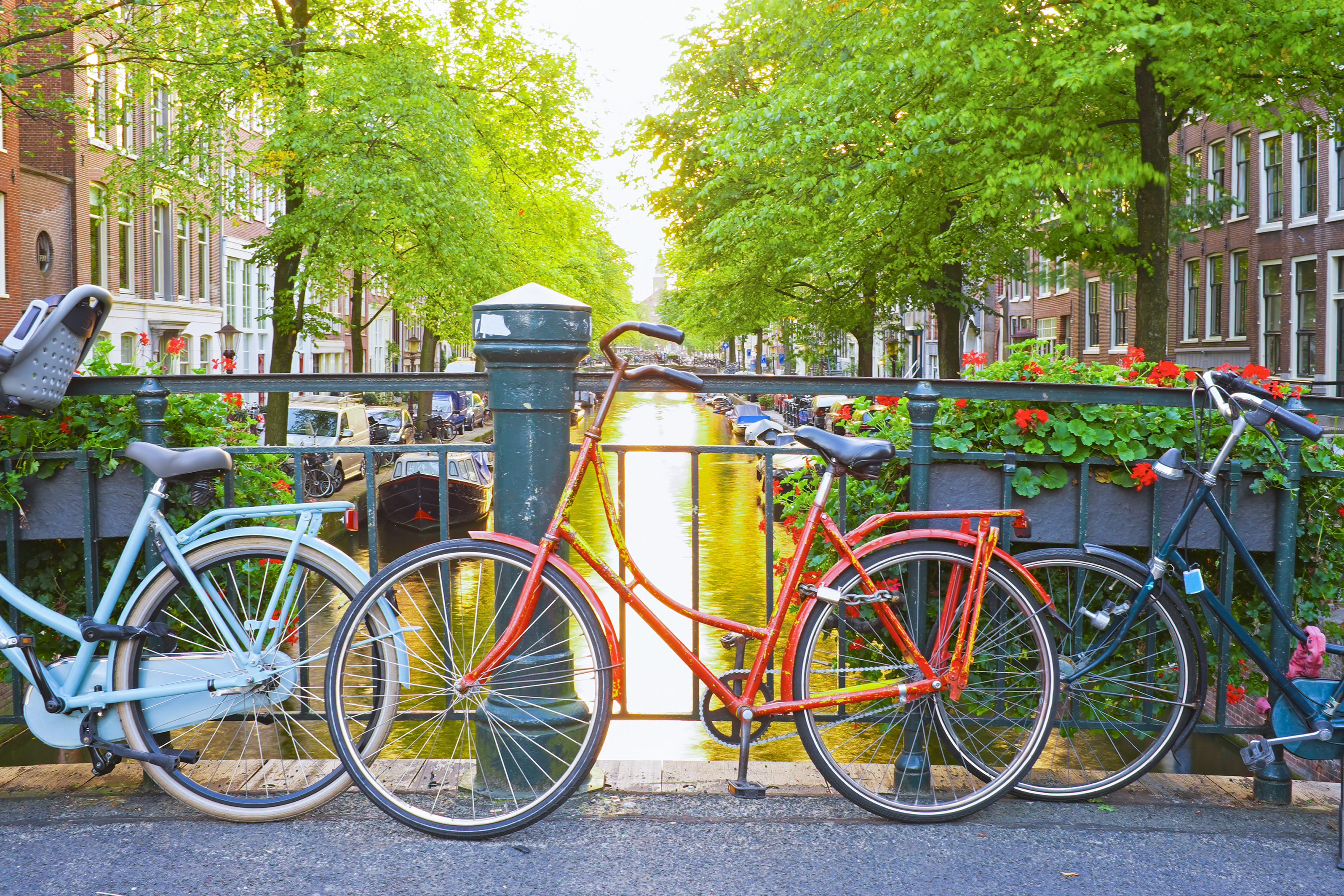 Study abroad in the Netherlands to learn about Dutch culture and their progressive approach to LGBTQ+ rights, women and gender studies, and sex education. Bikes along the canals in Amsterdam