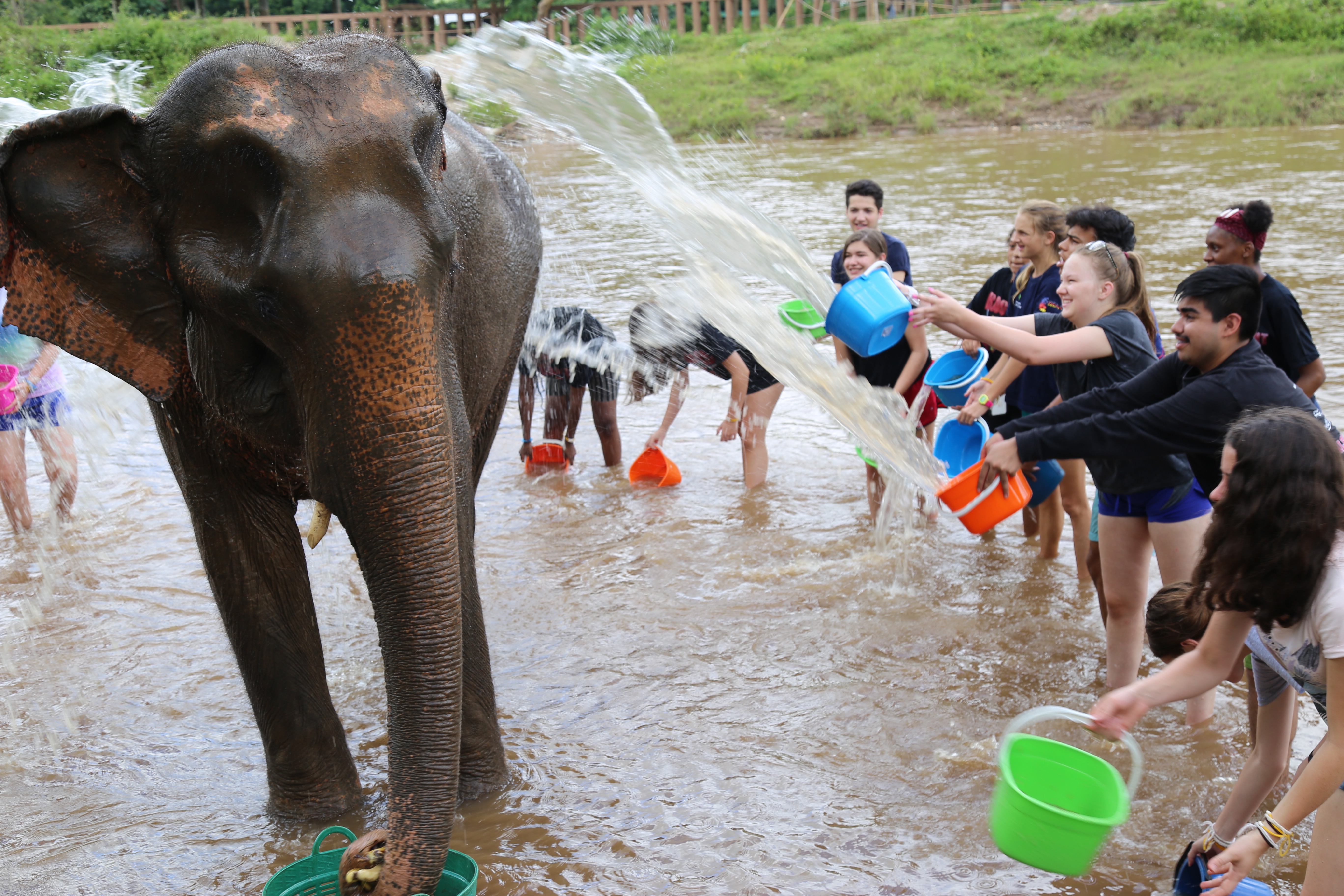 Large breasts milf in nylons