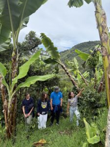 Students on The Experiment in International Living program stand between two large banana trees in a rainforest. A teacher is pointing out something to them in a tree.